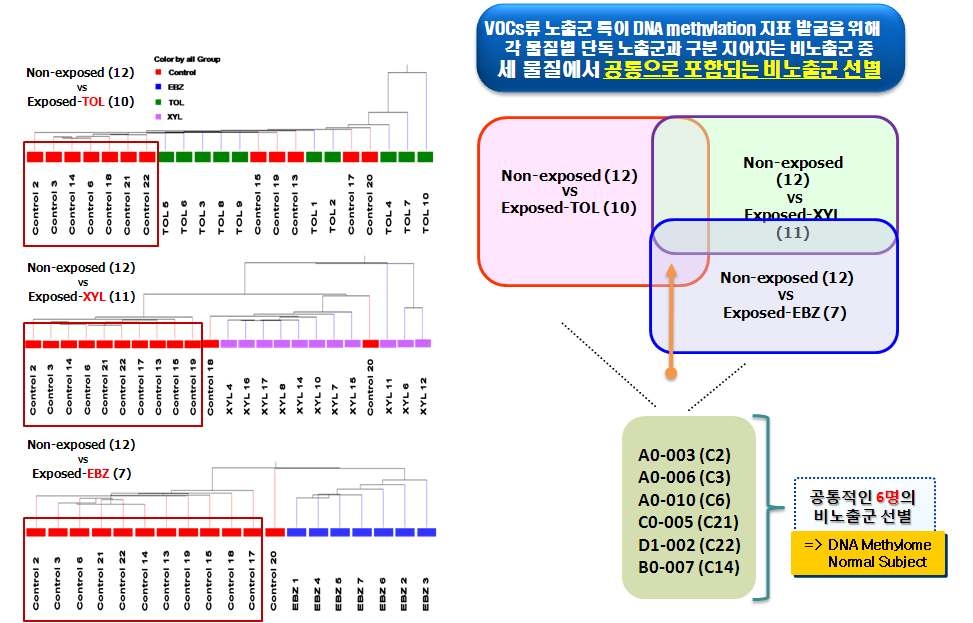 DNA methylation expression 패턴에 따른 비노출군 시료 선별