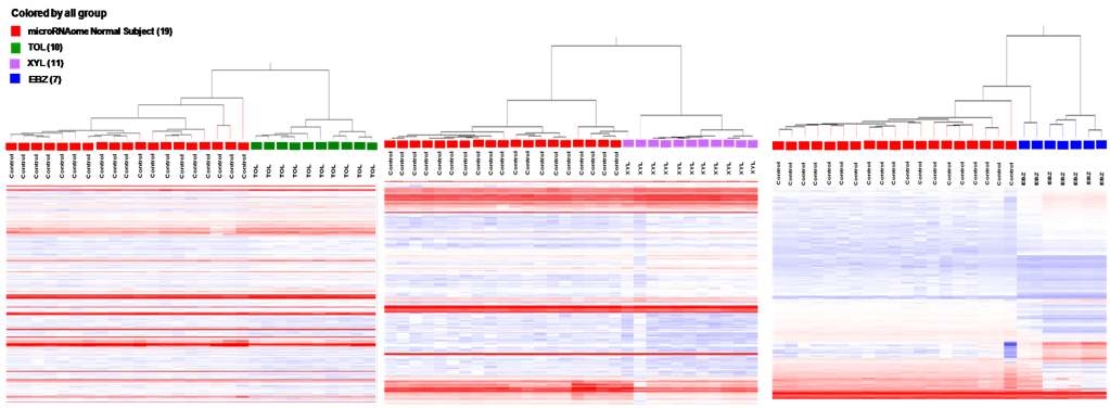 microRNAome normal subject와 3종의 VOCs 단독 노출군에 대한 각각의 miRNA 발현 패턴
