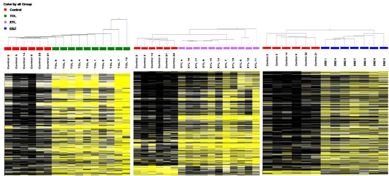 DNA methylome normal subject와 VOCs 단독 노출군에 대한 각각의 DNA methylation 발현 패턴