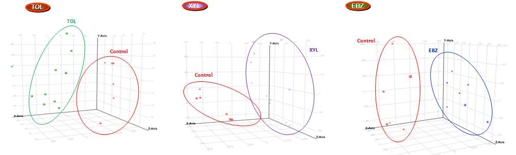 3종의 VOCs 각 물질별 classifier methylated site를 이용한 DNA methylome normal subject와 3종의 VOCs 단독 노출군의 구분