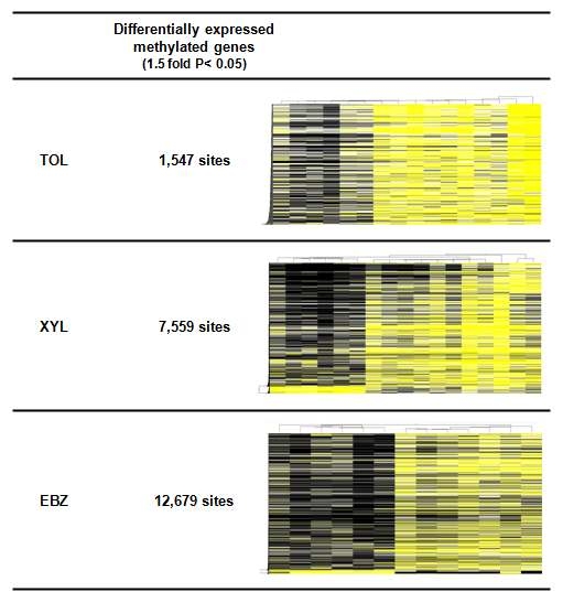 3종의 ENVIHaz-VOC monitoring Human Array 제작을 위한 VOCs 노출 특이 DNA methylation 생체 지표 발굴