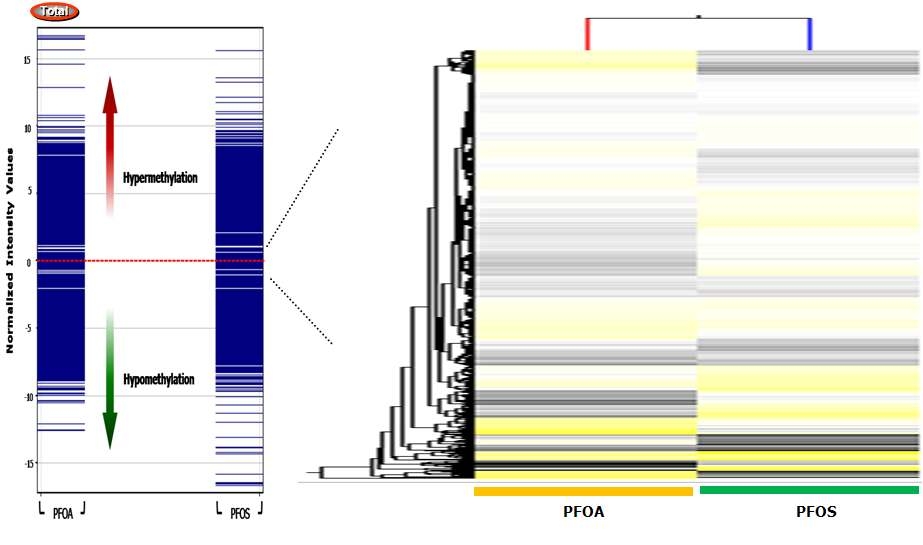 PFOS와 PFOA 처리에 의한 DNA methylation 변화 양상