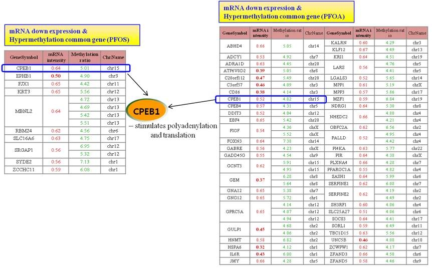 2종의 POPs에 의해 공통적으로 anti-correlated regulation을 보이는 유전자 선별