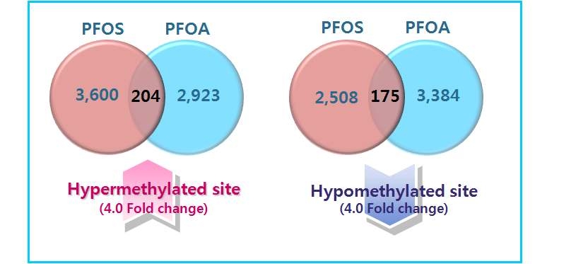 ENVIHaz-MOA Prediction Human Array 제작을 위한 2종의 POPs 특이 methylated site 선별