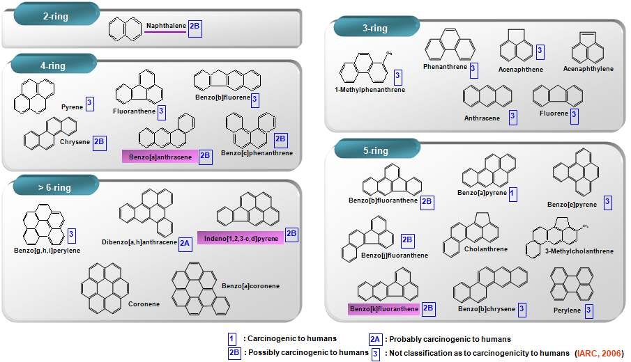 Structural characteristics and carcinogenicity of PAHs compounds