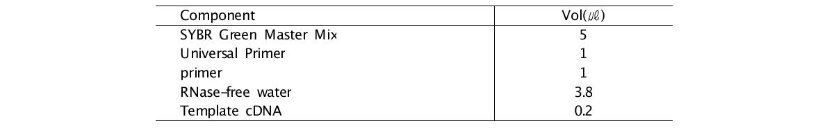 Components of cDNA synthesis