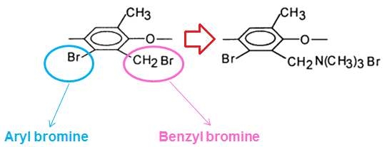 Brominated PPO (왼쪽)과 Aminated PPO (오른쪽)