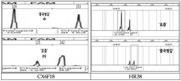 만다린 잡종체간 특이적인 SSR 유전자좌(CX6F18, HR38)