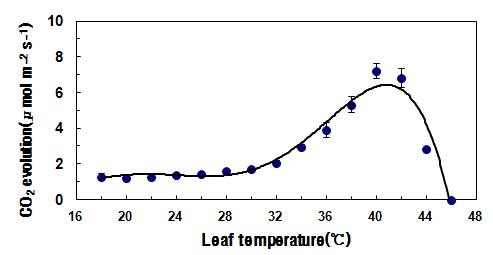 온도 증가에 따른 호흡량 변화