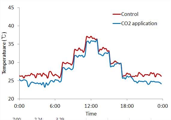 Change of leaf temperature due to CO2 enrichment treatment