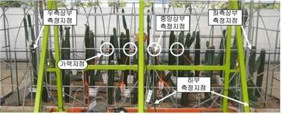 현장 재하시험 구성도(정면)