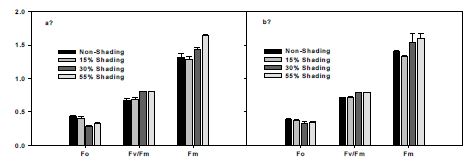 Effect of shading and cultivar (a; Momotaro and b; Rapio) on fluorescence parameters of tomato leaves; the minimal fluorescence (Fo), the maximal fluorescence (Fm), and the ratio of maximal variable fluorescence to maximal fluorescence (Fv/Fm). These data were measured at 6. July 2009. The bars represent the standard errors.