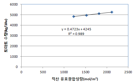 Effect of accumulated PPFD on the yield of tomato