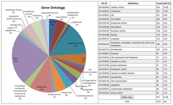 하례조생 감귤 EST의 Gene Ontology analysis