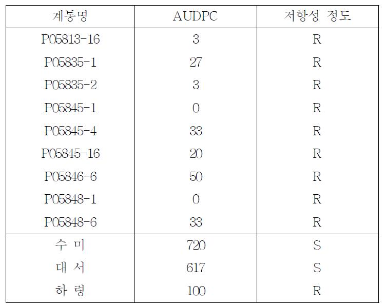 무방제 포장에서의 역병에 대한 저항성 반응