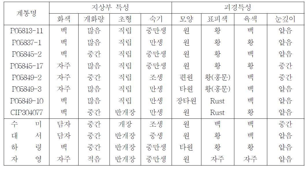 지상부 및 괴경 특성