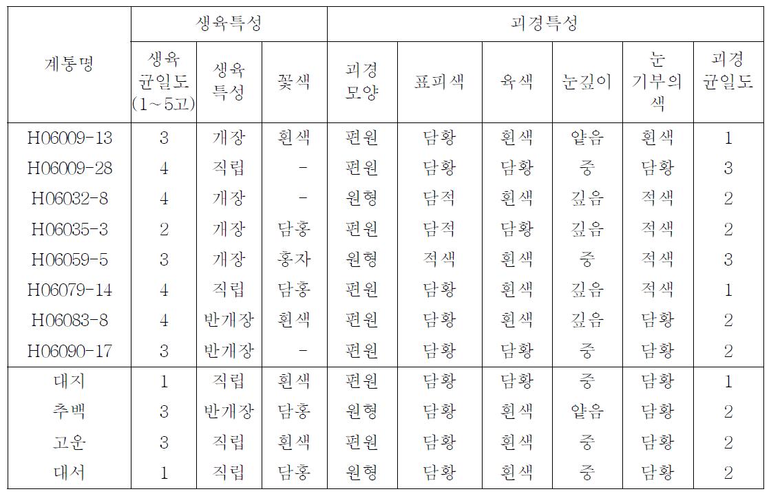 2010년 선발계통의 생육 • 괴경특성 및 품질