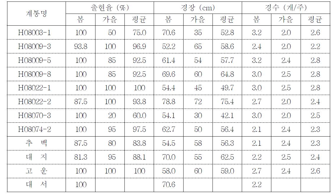 2011년 선발계통의 생육특성