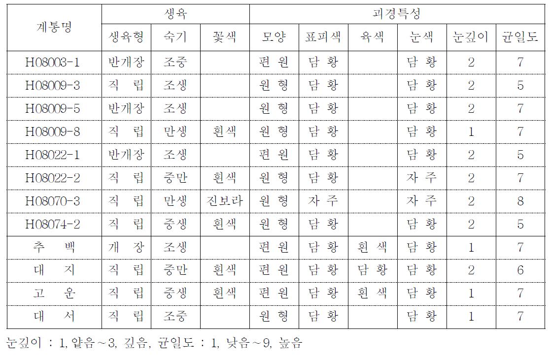 2011년 선발계통의 생육 및 괴경특성