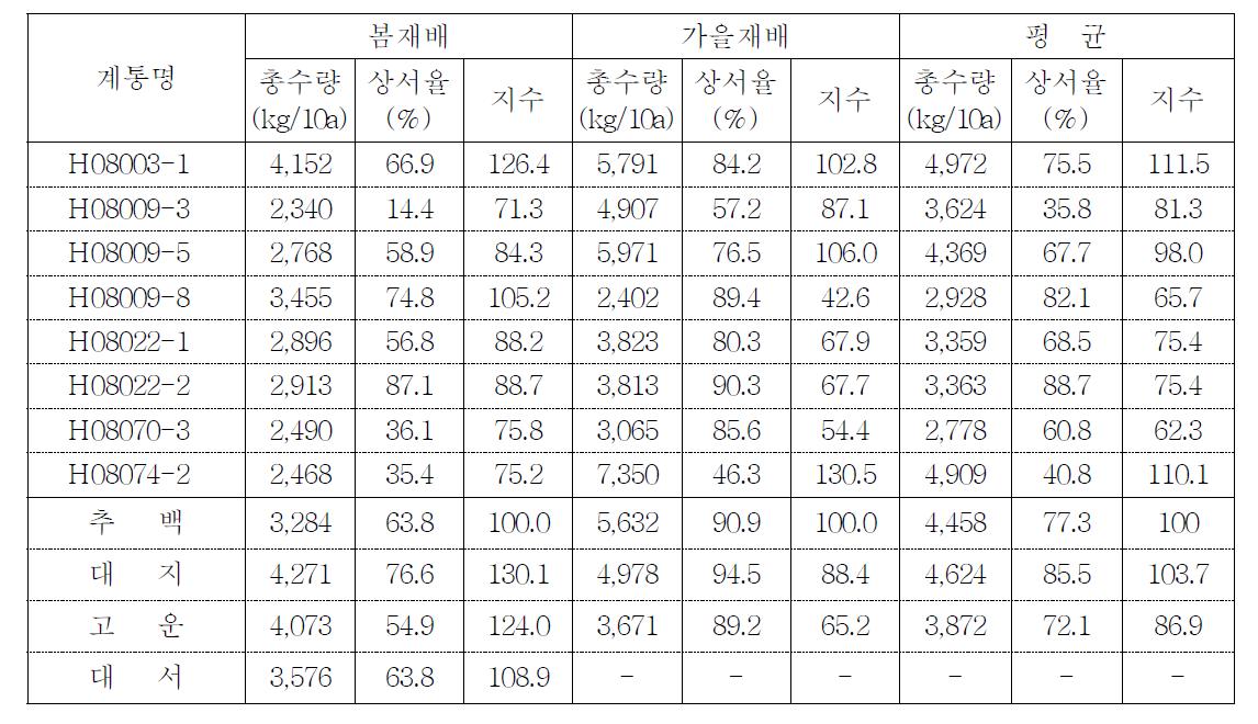 2011년 선발계통의 작형별 수량성