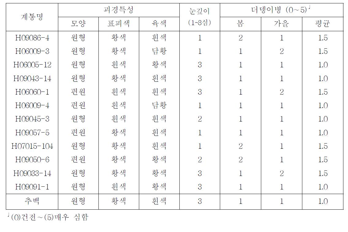 2012년 선발계통의 괴경 특성 및 더뎅이병 발생