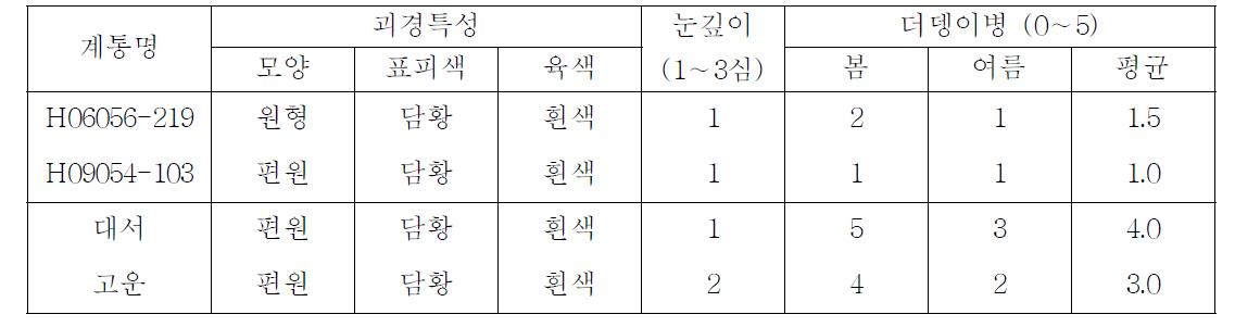 장휴면 선발계통의 괴경특성 및 더뎅이병 발병도