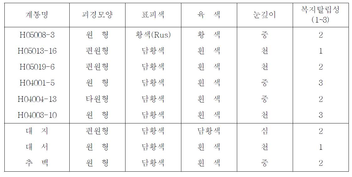 2009년 선발계통의 괴경특성