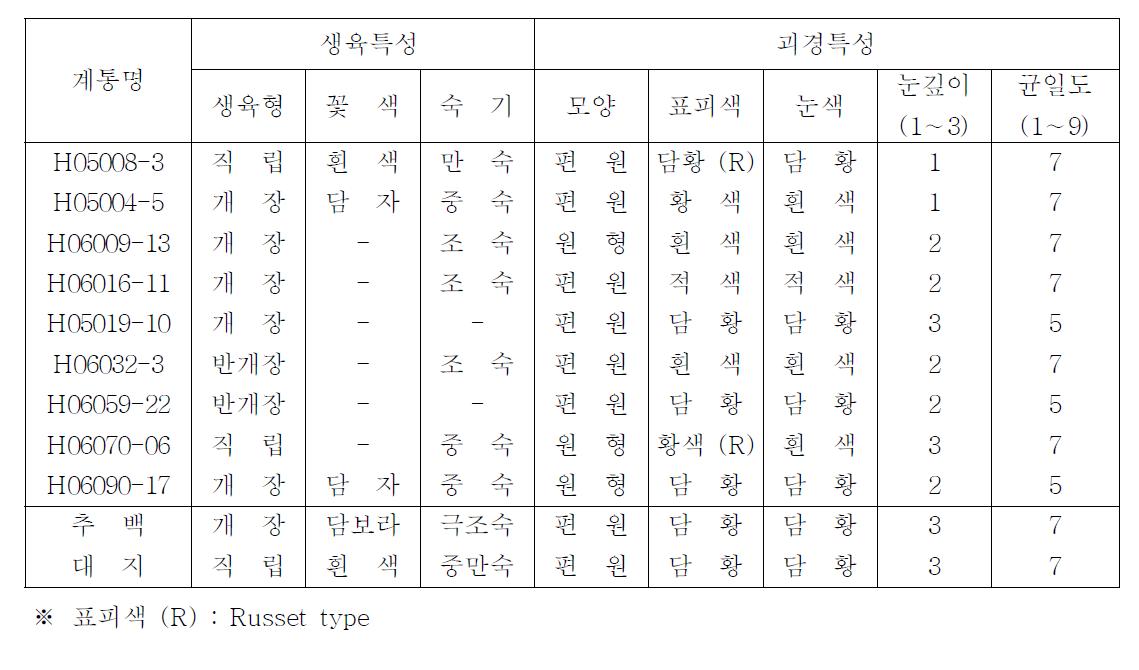 2011년 선발계통의 생육 및 괴경특성