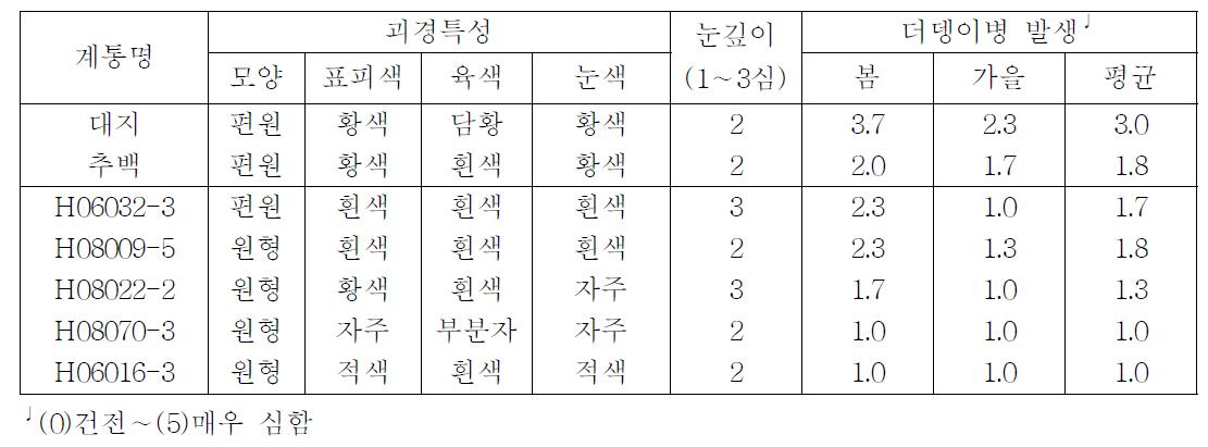 2012년 선발계통의 괴경특성 및 더뎅이병 발생