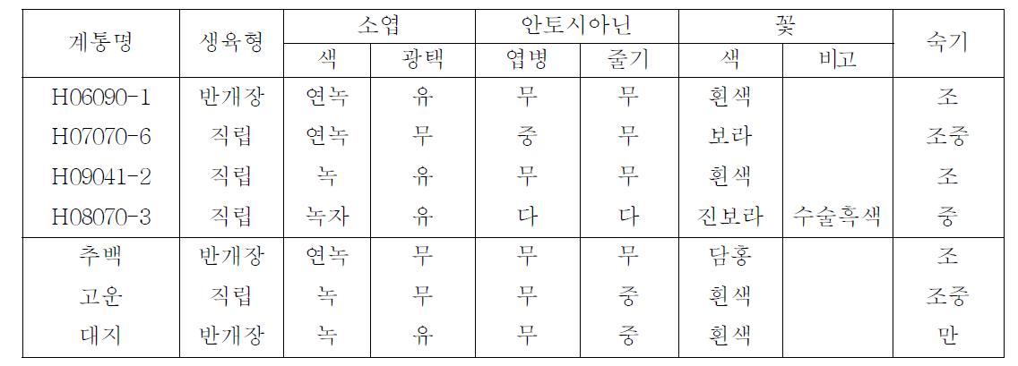 2013년 선발계통의 지상부 생육특성