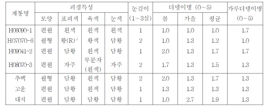 2013년 선발계통의 괴경특성 및 더뎅이병 발생