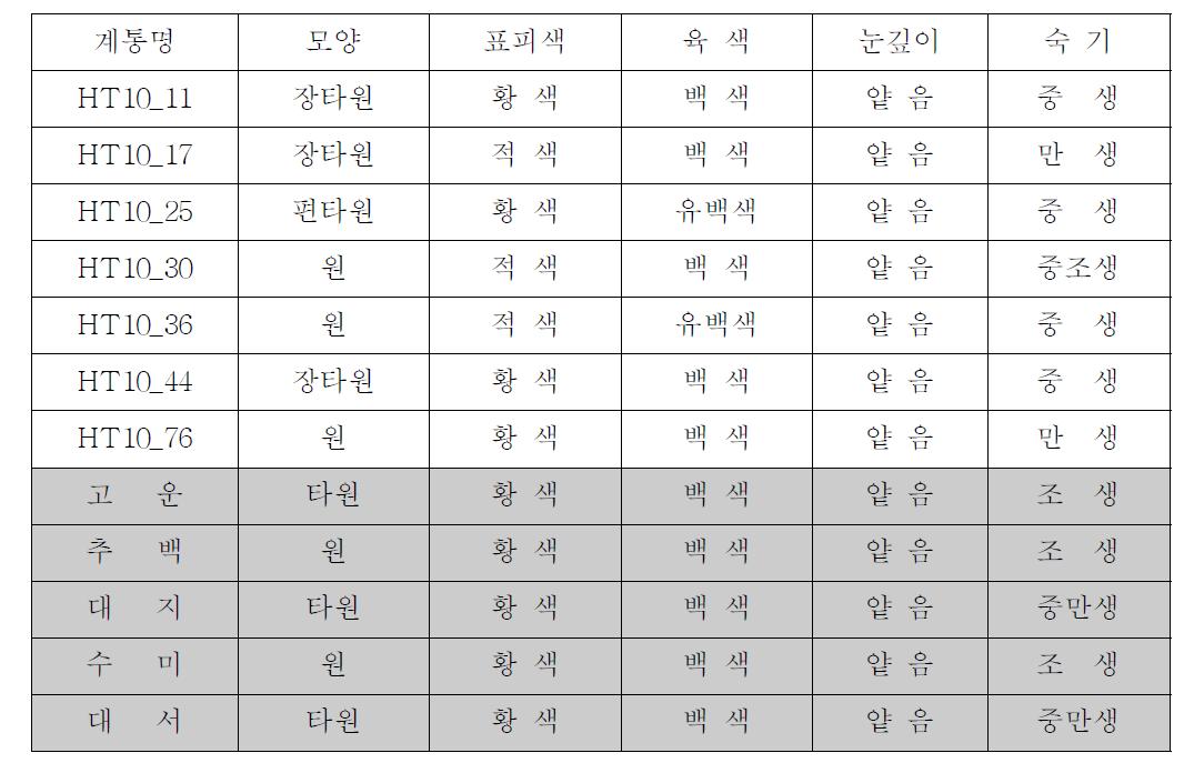 내서성 시험 계통들의 형태적 특성 및 성숙기.