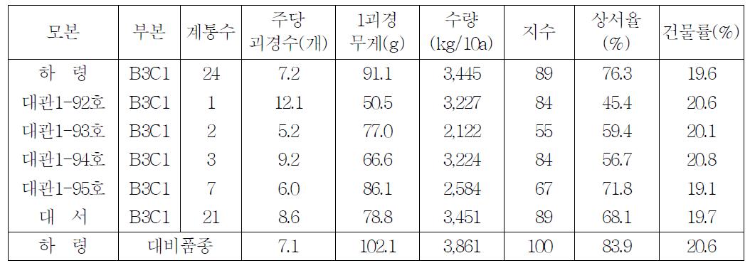 조합별 수량 및 건물함량