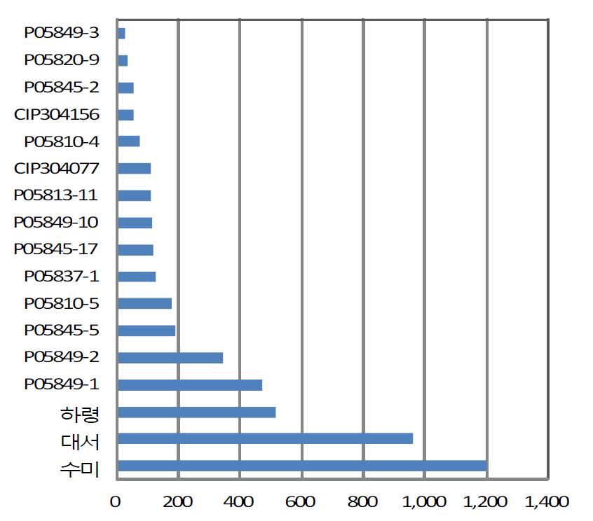 무방제 포장에서의 역병발병 진전도(AUDPC, Area under the disease progress curve)