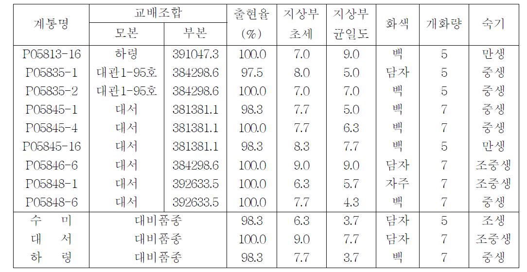 지상부 생육특성(강릉)