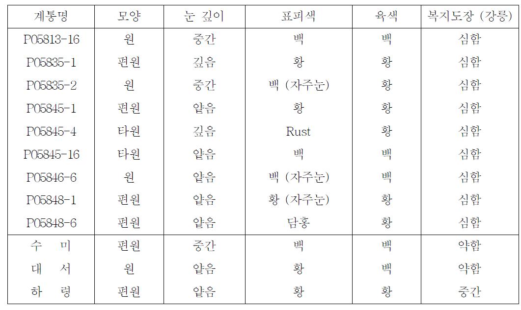 지하부 특성