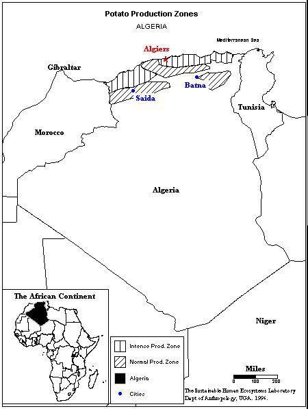 알제리의 주요 감자 재배지대