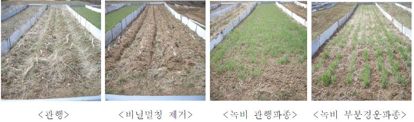 그림 3-10. 피복용 녹비작물 파종방법에 따른 토양피복 특성
