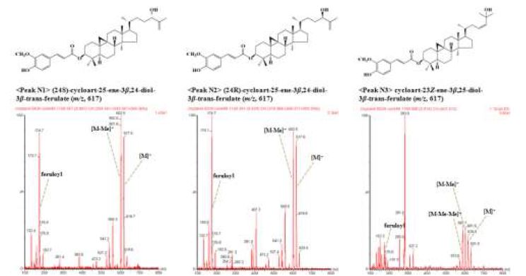 그림 5. New hydroxylated triterpene alcohol ferulates 3종