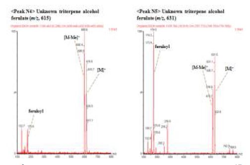 그림 6. Unknown triterpene alcohol ferulates 2종