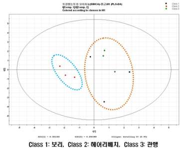 그림 18. SIMCA 이용, 2013년도 운광벼에서 토성별논토성에 따른 패턴 분석(오리자놀)