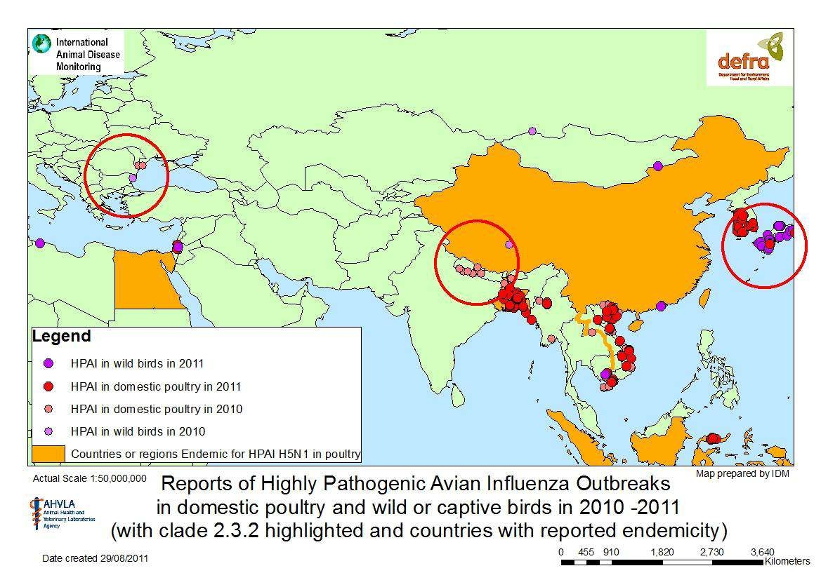2010년-2011년 고병원성 조류 인플루엔자 발병사례 (DEFRA, 2011).