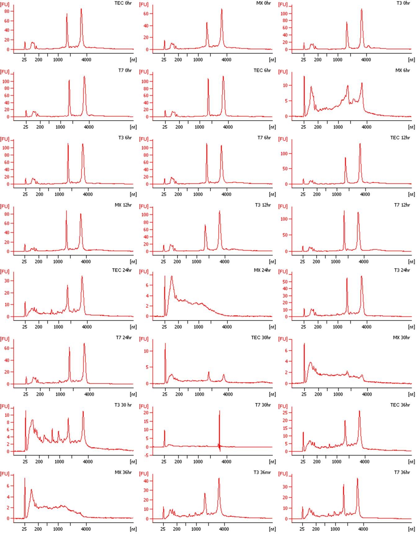 RNA quality control result from TECs after AI virus infection using Agilent’s 2100 bioanalyzer system