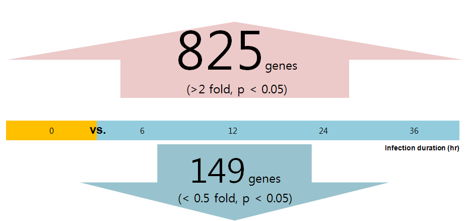 Differential gene expression analysis between TECs vs. TECs after AI virus infection.