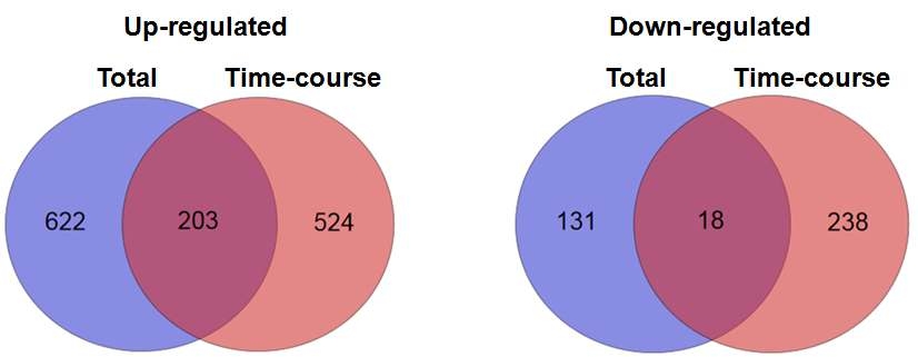 DEG analysis according to time-course after AI virus infection