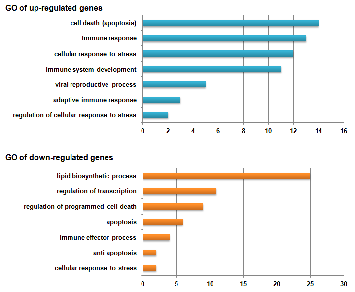 Analysis of gene ontology by DAVID