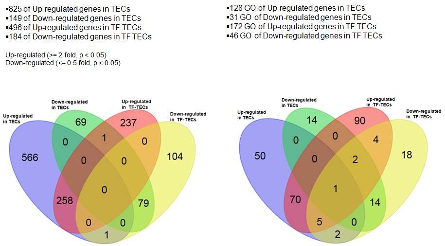 Comparison of distribution between differential expressed gene and geneontology.