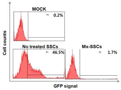 Newcastle Disease Virus-GFP 감염 후, FACS 결과