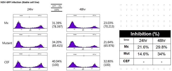 FACS analysis of NDV-GFP recombinant virus infected stable cell line