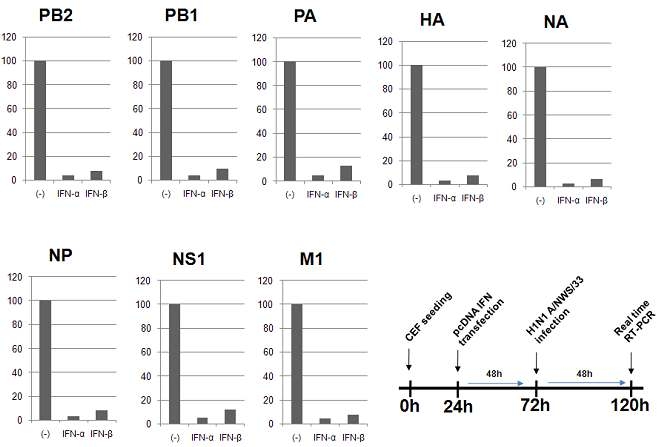 Antiviral activities against AIV